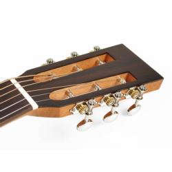 Richwood P-40 gitara akustyczna Parlor, natural
